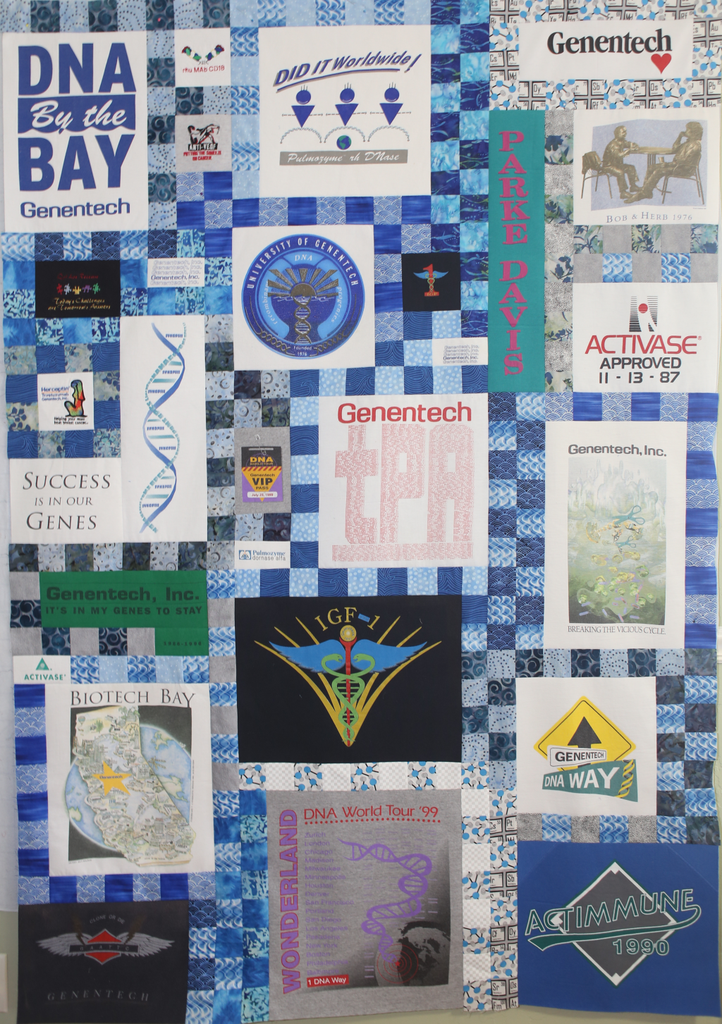 Genetech Swag Quilt